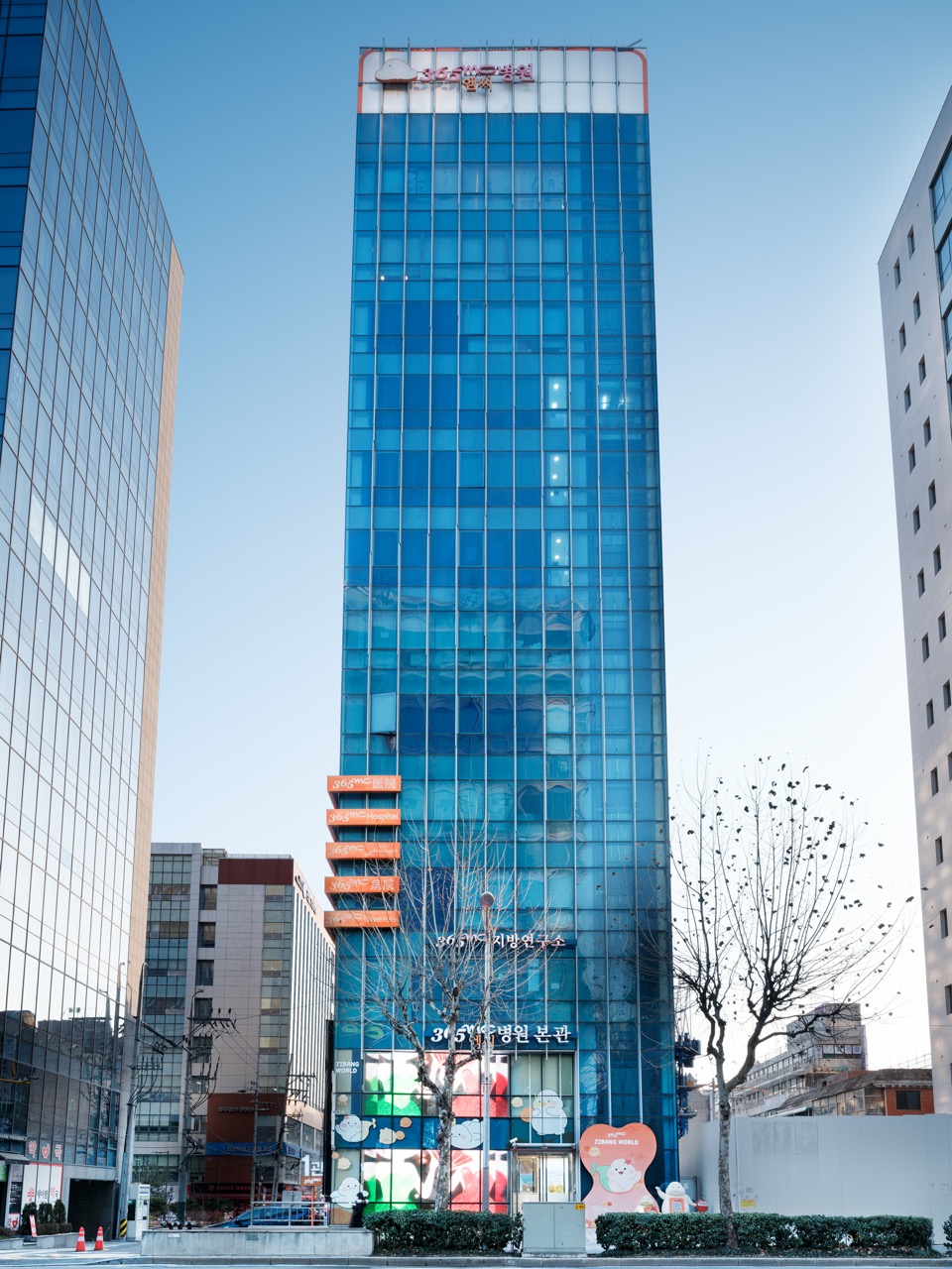 365mc 교대점